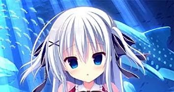 Amazon.co.jp: ラズベリーキューブ ソフマップ特典 描き下ろしB2